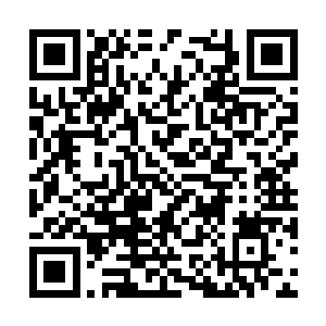 自从挨了张生一耳光后他就对这个小白脸恨之入骨二维码生成