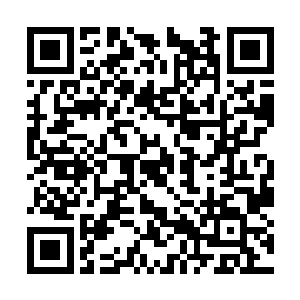 自动忽略了她曾经汲取中华民族几千年知识的事实二维码生成