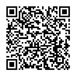 自家的主人在脑子里己经想着弄点儿什么东西上岛开始和自己抢食二维码生成