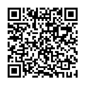 自己一个四品相师也就是在年轻一辈中出点风头罢了二维码生成