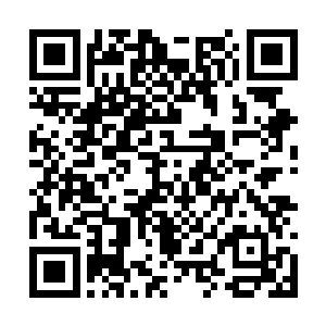 自己也绝对的不会被那些死胖子碰到一根手指头的二维码生成