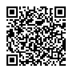 自己体内原本几乎已经快要枯竭的生机此时竟然变得无比的浑厚二维码生成
