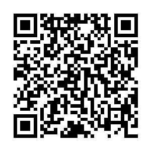 自己创办灵武期刊第一炮去轰击根深蒂固的登仙成神的美好传说二维码生成