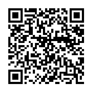 自己又不会告诉他们自己是一个下品先天仙阵师二维码生成