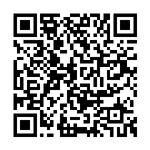 自己和别的召唤兽正落入地球联军的一个包围圈二维码生成