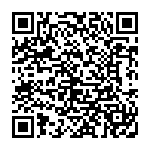 自己把自己当成男人生活了这么多年的虚假自我欺骗被莫小鱼一下子戳穿了二维码生成