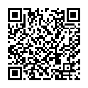 自己有条不紊的取出那个林东为自己准备的防震箱二维码生成