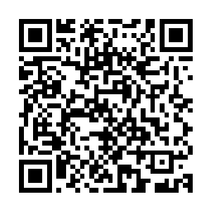 自己父亲就曾经跟叶明声在车上讨论过一会在孟家会发生的情况二维码生成