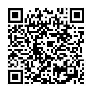 自己用这个建议再度在领导们那里赢得了份量颇重的一分二维码生成