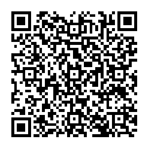 自己的对手根本不是其他的四十九名玩家……而是另一些稀奇古怪的东西……但具体是什么二维码生成