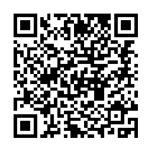 自己的灵识甚至能够探测到隔壁两个场景内部的状况二维码生成