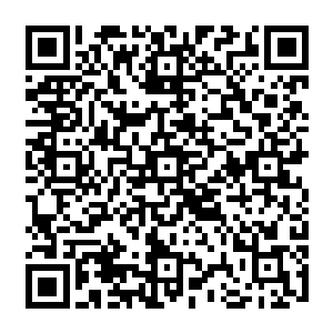 自己若是太过依赖和信赖这艘巨舰给自己带来的那种安全感而失去了警惕之心的话二维码生成