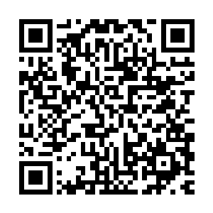 自己这方的辉月术士韦德一直认定了海洋巨人赛贝尔是罪魁祸首二维码生成