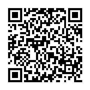 自己这边的辅助锤石和打野蜘蛛便都交出了闪现二维码生成
