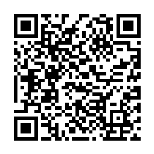 自己追求自由就不能以限制别人的自由来成全自己二维码生成