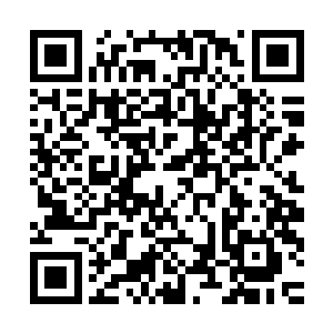 自己都在嘴皮子上占不了什么便宜……虽然看着是她在气君无妄二维码生成