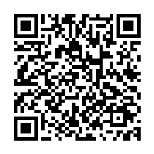 自然不会将这区区四把飞剑放在心上的……就算是任由它们攻击二维码生成