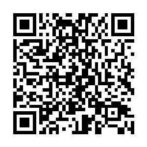 自然不需要用这种方式来安慰她们那已经有些扭曲的心灵了二维码生成