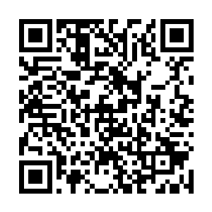 自然也能够感应到这个种子里面的那无比微弱的生命力二维码生成