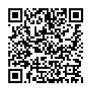 自身也因为那巨大的反震力量被直接轰飞了出去二维码生成