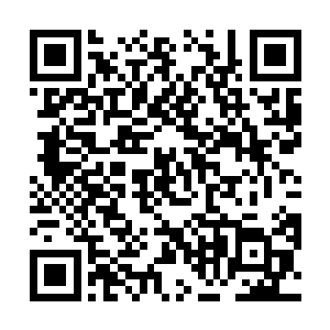 至于你血脉之中另外百分之一的血脉却让我感觉到怪异二维码生成