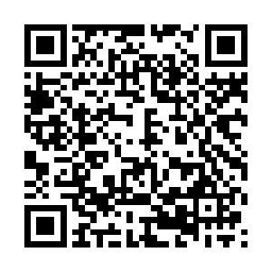 至于把米紫安抓住来要挟秦洛这种事情她是不屑干的二维码生成