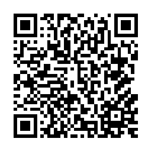 至于白沧海此刻却是装模作样的在着石壁上来回的摸索着什么二维码生成