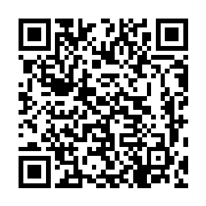 至于虫巫和迷巫他们……东大陆还有很多广漠无主的土地二维码生成