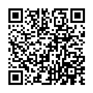 至于被它脑袋顶上去的那几个人……它似乎毫无所觉二维码生成