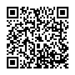 至少一般的天尊境界的高手若是一个不察觉的话恐怕都会着道二维码生成