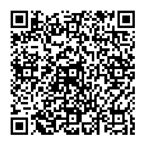 艾尼莎并沒有如泽梅尔预想一般推开门就把他给拱了 相反 艾美尔表现的十分沉稳 还有略微的羞涩二维码生成