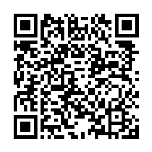 艾灸则是靠点燃的艾柱或艾条在人体相应穴位薰灼灸烤二维码生成