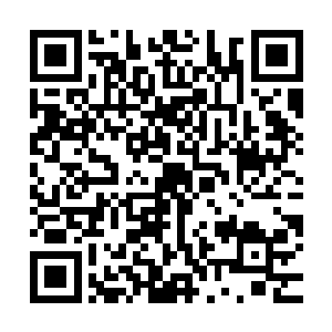 芝加哥影评人协会奖和洛杉矶影评人协会奖等一些列前哨奖项上二维码生成