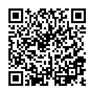 芥末和其他几个佣兵联合起来守住了通往地下室的过道二维码生成