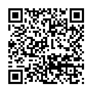 花悠悠又拿沈冰的话和白素跟她讲过的对比了一下二维码生成