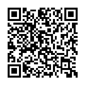 花瓣化作一道冰凉的液体流入身体各大经脉之中二维码生成