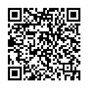 花穆兰的哥哥花无缺已经进入了真玄界上州的大势力二维码生成