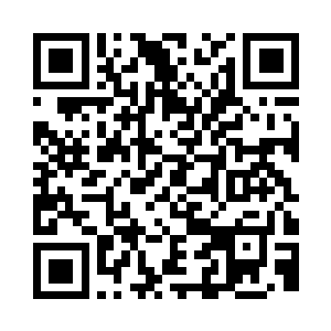 花落英就带着雷天来到了碧落宗的山门二维码生成