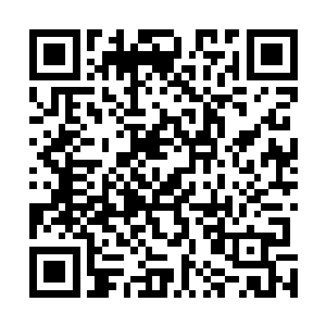 苏凡刚刚摘下来的那副巨大的油画后面并不是普通的墙壁二维码生成