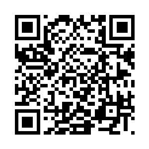 苏叶与白言奏也搭上了去阳光孤儿院的飞机二维码生成