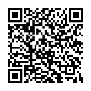 苏叶演绎的杨骏盯着黄演瞳演绎的杨昊看了一会二维码生成