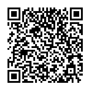苏城主现在当着数百万老百姓的面将轩辕帝给夸的天上有地下无的二维码生成