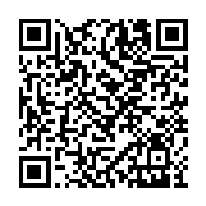 苏嫣终于知道季宸渊的石棺为什么要有这么大了二维码生成