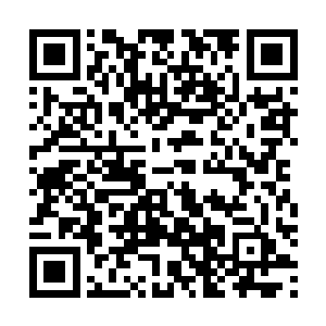 苏文给小公主的回信就这样原汁原味地与读者公众见面了二维码生成