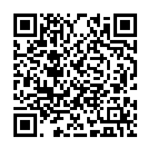 苏父看着那两个人被自己吓得腿都有些发抖的泼妇二维码生成