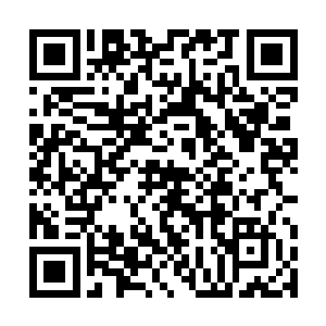 苏瑷同|优|优|小|说|更|新|最|快||志怀孕9个月的时候二维码生成