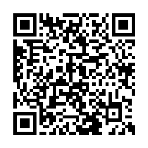 苏维信却是没把眼前的一幕跟之前儿子说的什么二维码生成