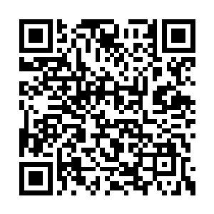 苏联人几乎搬空了自己能够出动的所有剩余飞机二维码生成