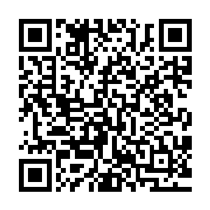 苏落好不容易从卫大姐头跟班里那里得来的积分原本有十五万二维码生成