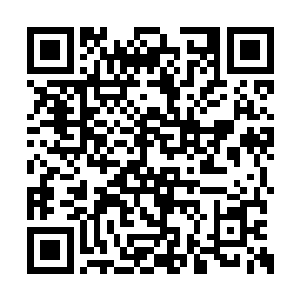 苏落手中五根金针齐齐插入南宫流星的心肺部位二维码生成